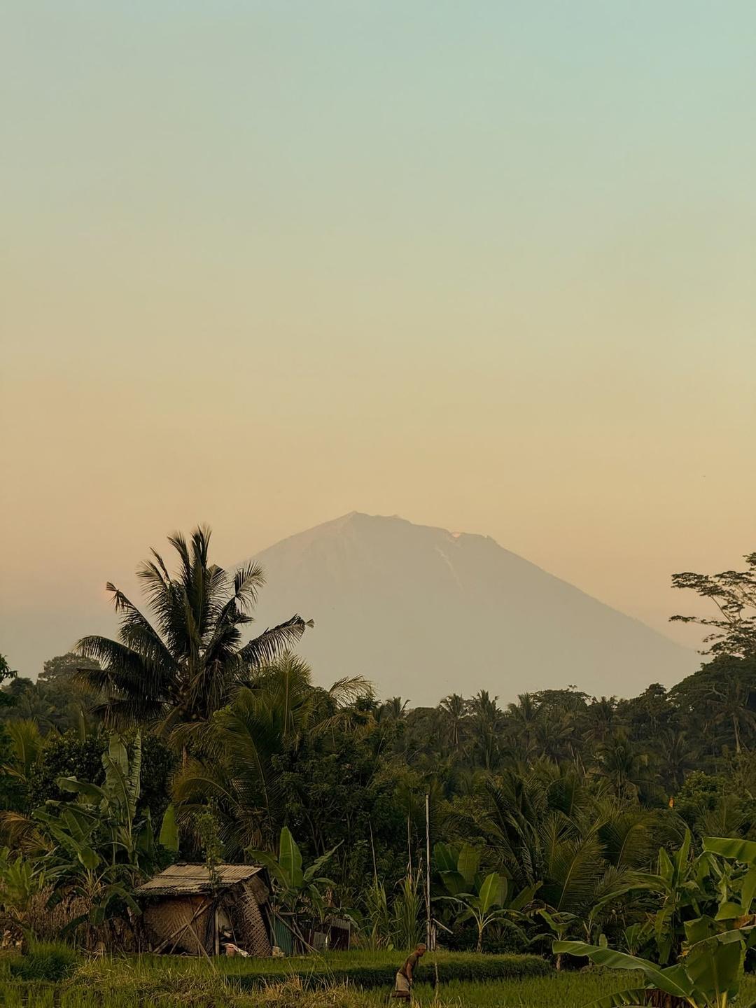 Mount Agung in evening haze above the jungle