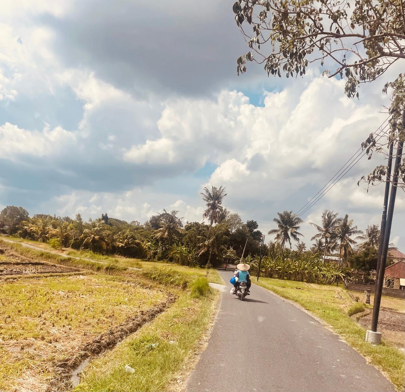 Scooter on a narrow road between dry rice fields under big clouds
