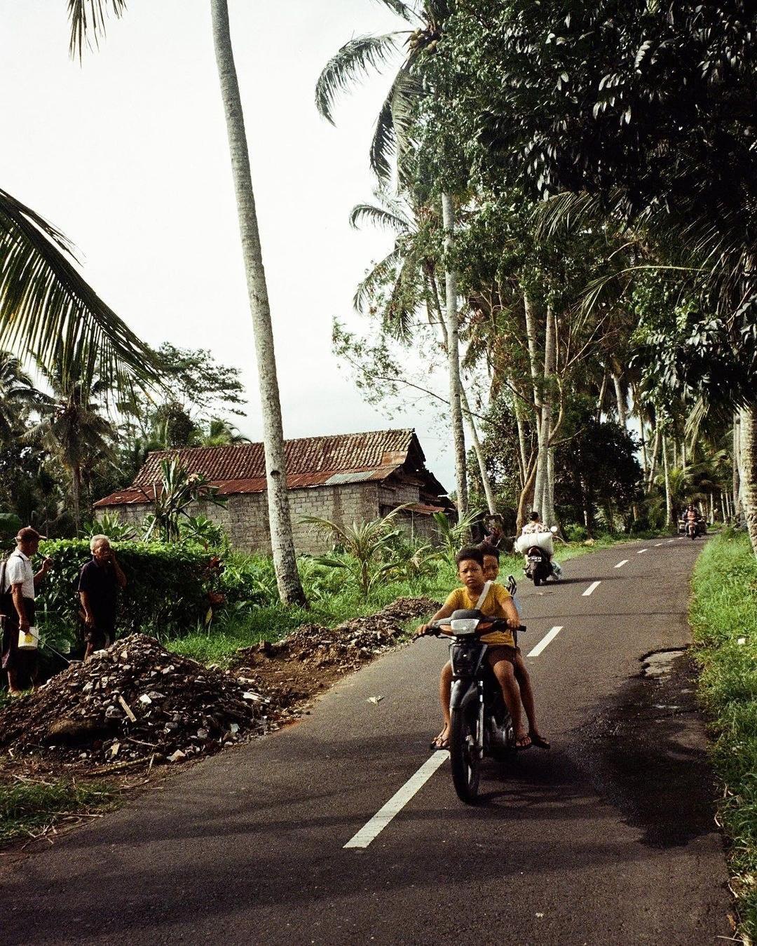 Two boys on a motorbike on a palm-lined village road
